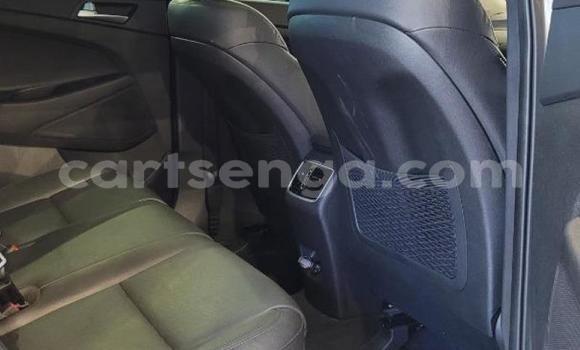 Acheter Occasion Voiture Hyundai Tucson Blanc à Ezulwini, Hhohho Acheter Occasion Voiture Hyundai Tucson Blanc à Ezulwini, Hhohho
