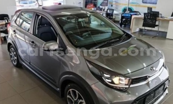 Buy Used Kia Picanto Other Car in Ezulwini in Hhohho