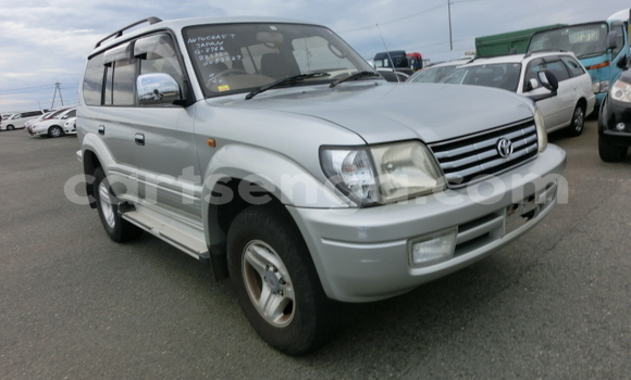 Buy Used Toyota Prado Silver Car in Big Bend in Lubombo District