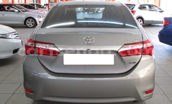 Nunua Ilio tumika Toyota Corolla Silver Gari ndani ya Tabankulu nchini Wilaya ya Lubombo Nunua Ilio tumika Toyota Corolla Silver Gari ndani ya Tabankulu nchini Wilaya ya Lubombo