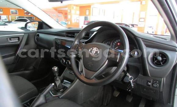 Nunua Ilio tumika Toyota Corolla Silver Gari ndani ya Tabankulu nchini Wilaya ya Lubombo Nunua Ilio tumika Toyota Corolla Silver Gari ndani ya Tabankulu nchini Wilaya ya Lubombo