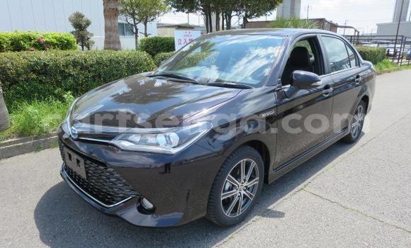 Buy Used Toyota Axio Other Car in Big Bend in Lubombo District