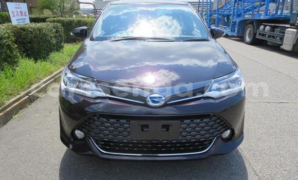 Buy Used Toyota Axio Other Car in Big Bend in Lubombo District Buy Used Toyota Axio Other Car in Big Bend in Lubombo District