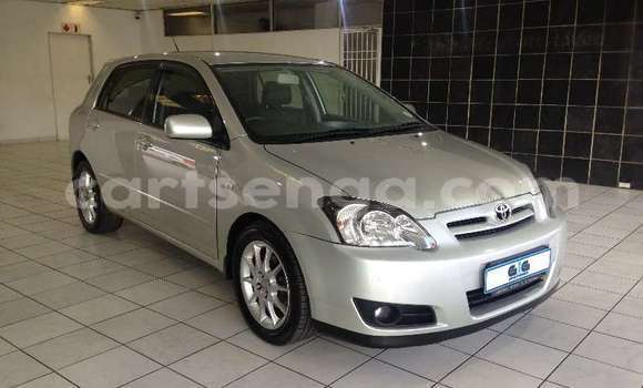 Buy Used Toyota Runx Silver Car in Ngomane in Lubombo District Buy Used Toyota Runx Silver Car in Ngomane in Lubombo District