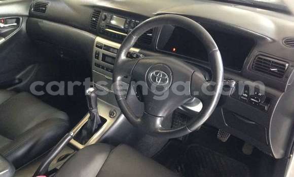 Buy Used Toyota Runx Silver Car in Ngomane in Lubombo District Buy Used Toyota Runx Silver Car in Ngomane in Lubombo District