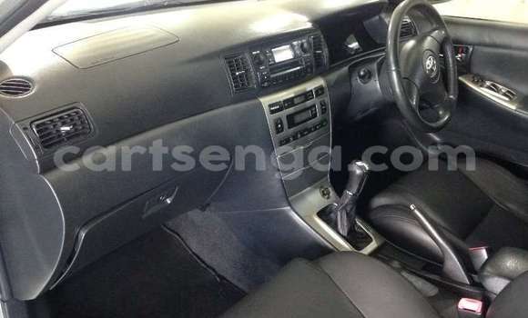 Buy Used Toyota Runx Silver Car in Ngomane in Lubombo District Buy Used Toyota Runx Silver Car in Ngomane in Lubombo District