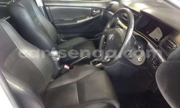 Buy Used Toyota Runx Silver Car in Ngomane in Lubombo District Buy Used Toyota Runx Silver Car in Ngomane in Lubombo District