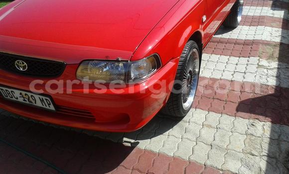 Buy Used Toyota Tacoma Red Car in Ezulwini in Hhohho Buy Used Toyota Tacoma Red Car in Ezulwini in Hhohho