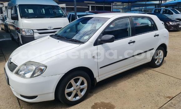 Buy Used Toyota Runx White Car in Ezulwini in Hhohho