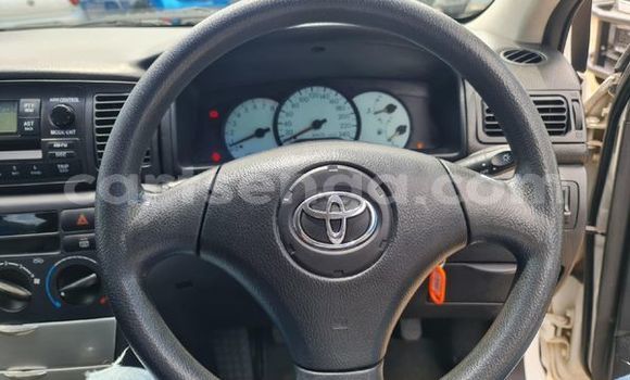 Nunua Ilio tumika Toyota Runx White Gari ndani ya Ezulwini nchini Hhohho Nunua Ilio tumika Toyota Runx White Gari ndani ya Ezulwini nchini Hhohho