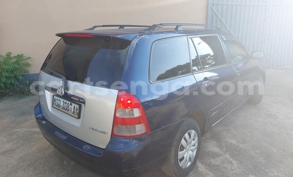 Nunua Ilio tumika Toyota Corolla Blue Gari ndani ya Manzini nchini Manzini Nunua Ilio tumika Toyota Corolla Blue Gari ndani ya Manzini nchini Manzini