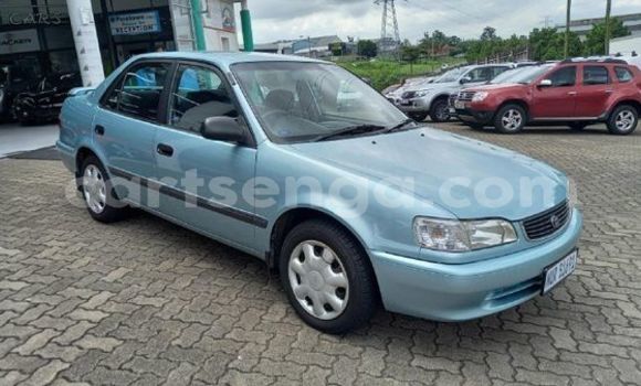 Buy Used Toyota Corolla Other Car in Ezulwini in Hhohho