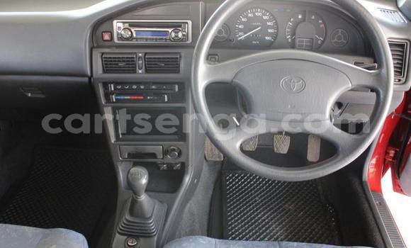 Acheter Occasion Voiture Toyota Tacoma Rouge à Ezulwini, Hhohho Acheter Occasion Voiture Toyota Tacoma Rouge à Ezulwini, Hhohho