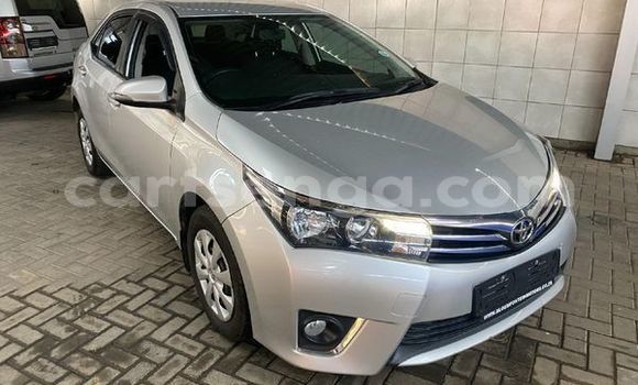 Acheter Occasion Voiture Toyota Corolla Gris à Ezulwini, Hhohho Acheter Occasion Voiture Toyota Corolla Gris à Ezulwini, Hhohho
