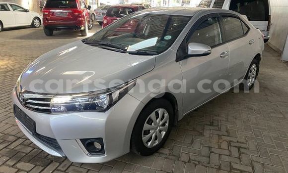 Acheter Occasion Voiture Toyota Corolla Gris à Ezulwini, Hhohho Acheter Occasion Voiture Toyota Corolla Gris à Ezulwini, Hhohho