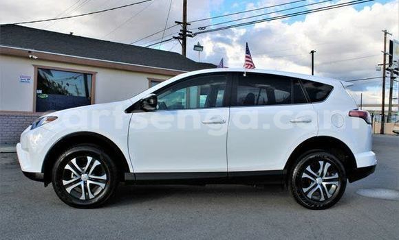Acheter Import Voiture Toyota RAV4 Blanc à Ezulwini, Hhohho