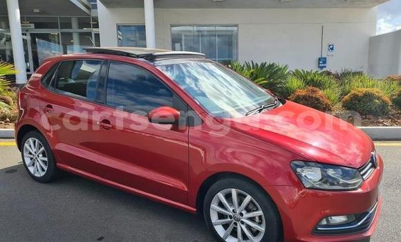 Buy Used Volkswagen Polo Red Car in Ezulwini in Hhohho