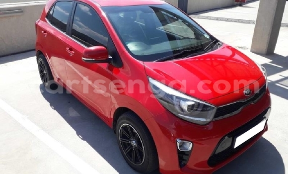 Buy Used Kia Picanto Red Car in Manzini in Manzini