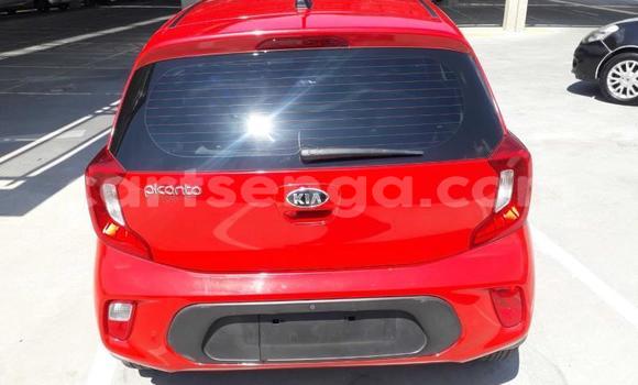 Nunua Ilio tumika Kia Picanto Red Gari ndani ya Manzini nchini Manzini Nunua Ilio tumika Kia Picanto Red Gari ndani ya Manzini nchini Manzini