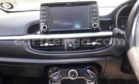 Nunua Ilio tumika Kia Picanto Red Gari ndani ya Manzini nchini Manzini Nunua Ilio tumika Kia Picanto Red Gari ndani ya Manzini nchini Manzini