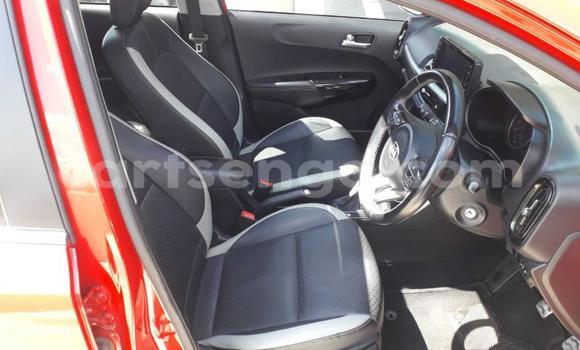 Nunua Ilio tumika Kia Picanto Red Gari ndani ya Manzini nchini Manzini Nunua Ilio tumika Kia Picanto Red Gari ndani ya Manzini nchini Manzini