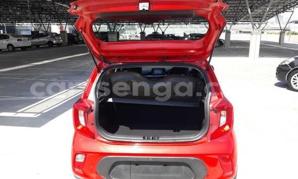 Nunua Ilio tumika Kia Picanto Red Gari ndani ya Manzini nchini Manzini Nunua Ilio tumika Kia Picanto Red Gari ndani ya Manzini nchini Manzini