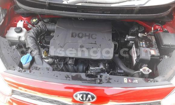 Nunua Ilio tumika Kia Picanto Red Gari ndani ya Manzini nchini Manzini Nunua Ilio tumika Kia Picanto Red Gari ndani ya Manzini nchini Manzini