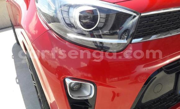 Nunua Ilio tumika Kia Picanto Red Gari ndani ya Manzini nchini Manzini Nunua Ilio tumika Kia Picanto Red Gari ndani ya Manzini nchini Manzini