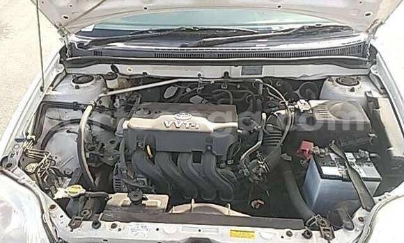 Acheter Occasion Voiture Toyota Corolla Blanc à Big Bend, Lubombo District Acheter Occasion Voiture Toyota Corolla Blanc à Big Bend, Lubombo District