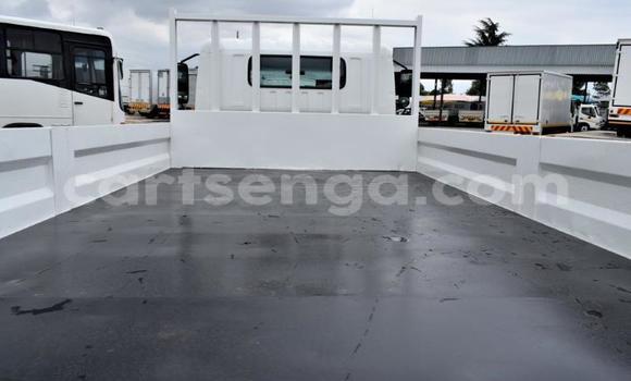 Acheter Occasion Utilitaire Hino 300 Series Blanc à Ezulwini, Hhohho Acheter Occasion Utilitaire Hino 300 Series Blanc à Ezulwini, Hhohho