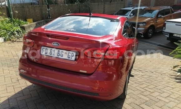 Acheter Occasion Voiture Ford Focus Beige à Manzini, Manzini Acheter Occasion Voiture Ford Focus Beige à Manzini, Manzini