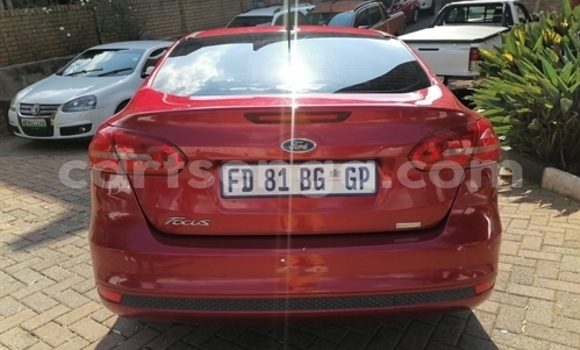 Acheter Occasion Voiture Ford Focus Beige à Manzini, Manzini Acheter Occasion Voiture Ford Focus Beige à Manzini, Manzini