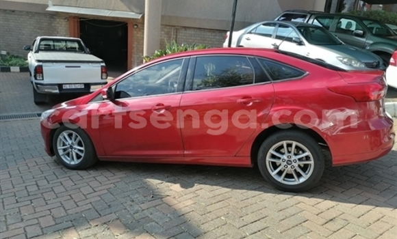 Acheter Occasion Voiture Ford Focus Beige à Manzini, Manzini Acheter Occasion Voiture Ford Focus Beige à Manzini, Manzini