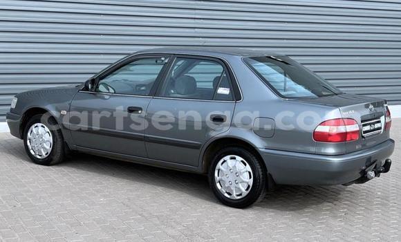 Buy Used Toyota Corolla Silver Car in Ezulwini in Hhohho Buy Used Toyota Corolla Silver Car in Ezulwini in Hhohho