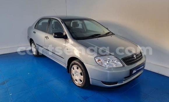 Acheter Occasion Voiture Toyota Corolla Bleu à Ezulwini, Hhohho