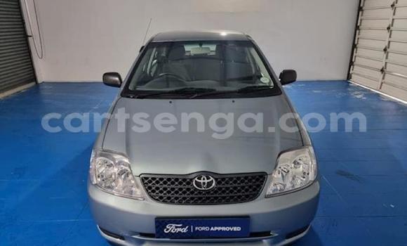 Acheter Occasion Voiture Toyota Corolla Bleu à Ezulwini, Hhohho Acheter Occasion Voiture Toyota Corolla Bleu à Ezulwini, Hhohho