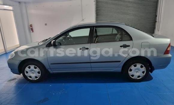 Acheter Occasion Voiture Toyota Corolla Bleu à Ezulwini, Hhohho Acheter Occasion Voiture Toyota Corolla Bleu à Ezulwini, Hhohho