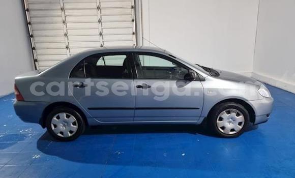 Acheter Occasion Voiture Toyota Corolla Bleu à Ezulwini, Hhohho Acheter Occasion Voiture Toyota Corolla Bleu à Ezulwini, Hhohho