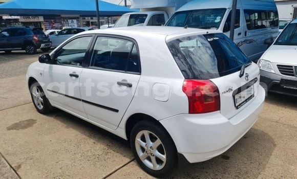 Buy Used Toyota Runx White Car in Ezulwini in Hhohho Buy Used Toyota Runx White Car in Ezulwini in Hhohho
