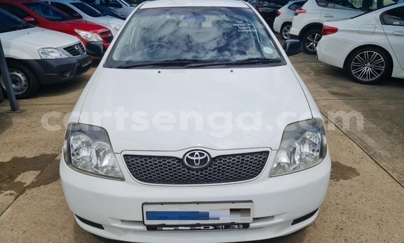 Buy Used Toyota Runx White Car in Ezulwini in Hhohho Buy Used Toyota Runx White Car in Ezulwini in Hhohho