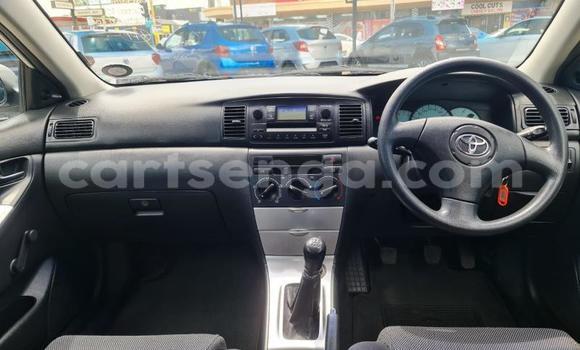 Buy Used Toyota Runx White Car in Ezulwini in Hhohho Buy Used Toyota Runx White Car in Ezulwini in Hhohho