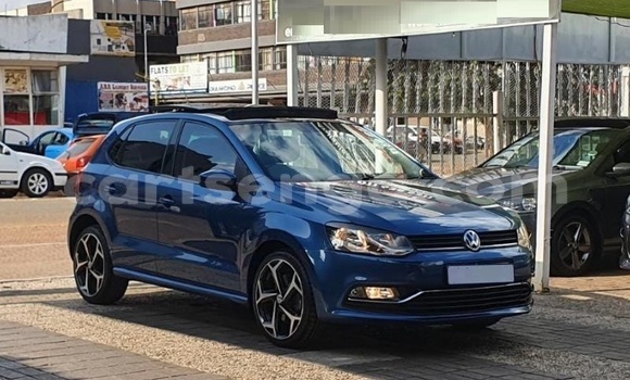 Nunua Ilio tumika Volkswagen Polo Blue Gari ndani ya Ezulwini nchini Hhohho