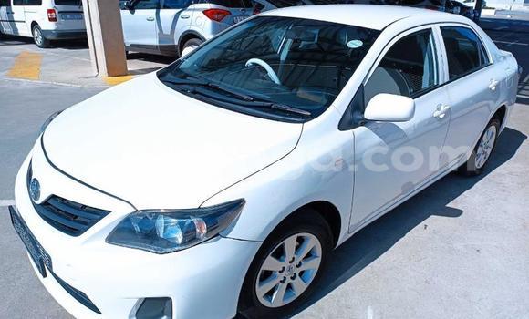 Buy Used Toyota Corolla White Car in Big Bend in Lubombo Buy Used Toyota Corolla White Car in Big Bend in Lubombo