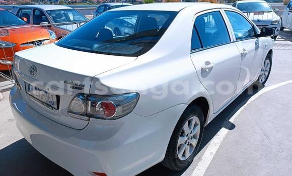 Buy Used Toyota Corolla White Car in Big Bend in Lubombo Buy Used Toyota Corolla White Car in Big Bend in Lubombo
