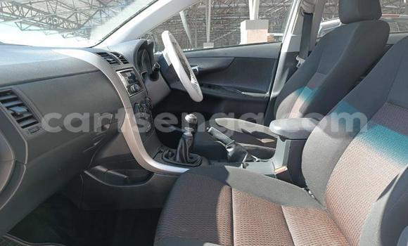 Buy Used Toyota Corolla White Car in Big Bend in Lubombo Buy Used Toyota Corolla White Car in Big Bend in Lubombo