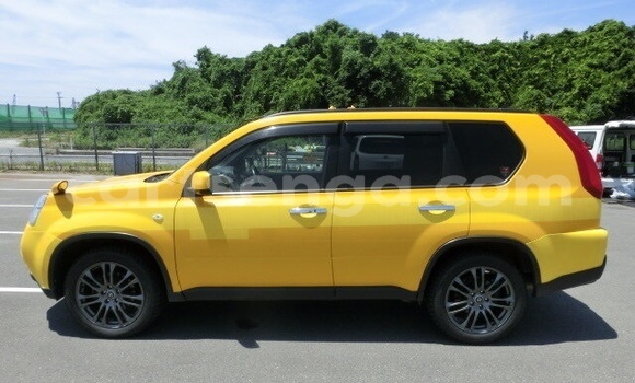 Nunua Ilio tumika Nissan X–Trail Brown Gari ndani ya Ezulwini nchini Hhohho Nunua Ilio tumika Nissan X–Trail Brown Gari ndani ya Ezulwini nchini Hhohho