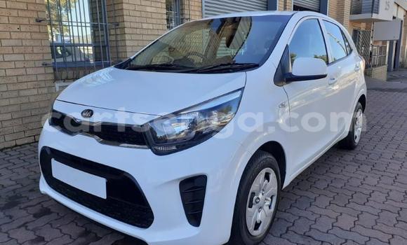Buy Used Kia Picanto White Car in Hlatikulu in Shiselweni District