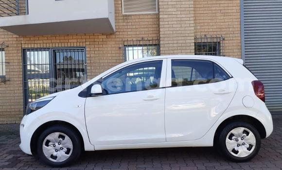 Nunua Ilio tumika Kia Picanto White Gari ndani ya Hlatikulu nchini Wilaya ya Shiselweni Nunua Ilio tumika Kia Picanto White Gari ndani ya Hlatikulu nchini Wilaya ya Shiselweni