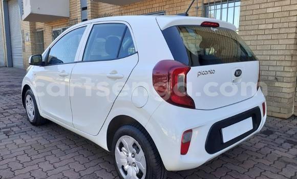 Nunua Ilio tumika Kia Picanto White Gari ndani ya Hlatikulu nchini Wilaya ya Shiselweni Nunua Ilio tumika Kia Picanto White Gari ndani ya Hlatikulu nchini Wilaya ya Shiselweni