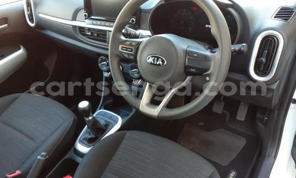 Nunua Ilio tumika Kia Picanto White Gari ndani ya Hlatikulu nchini Wilaya ya Shiselweni Nunua Ilio tumika Kia Picanto White Gari ndani ya Hlatikulu nchini Wilaya ya Shiselweni